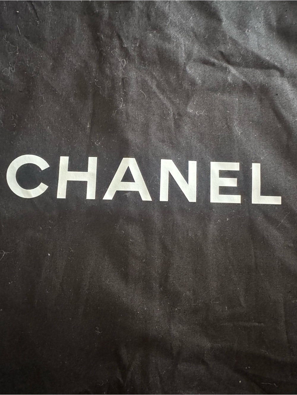 CHANEL Black Men’s Garment Travel Bag with White Logo - Picture 5 of 10